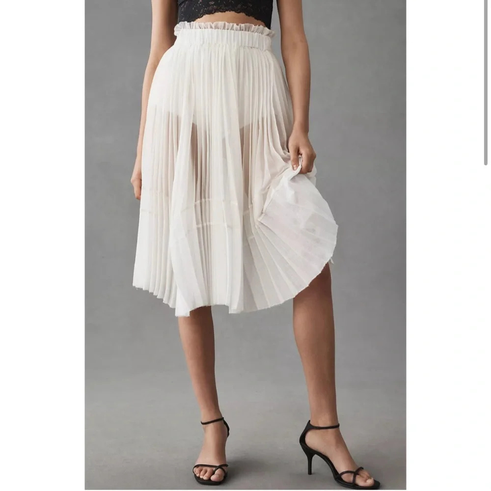 Let Me Be (Anthropologie) Sheer Pleated A-Line Skirt, NWT